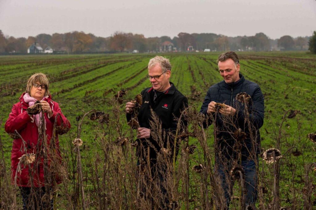 Met crowdfunding meer zonnebloemen