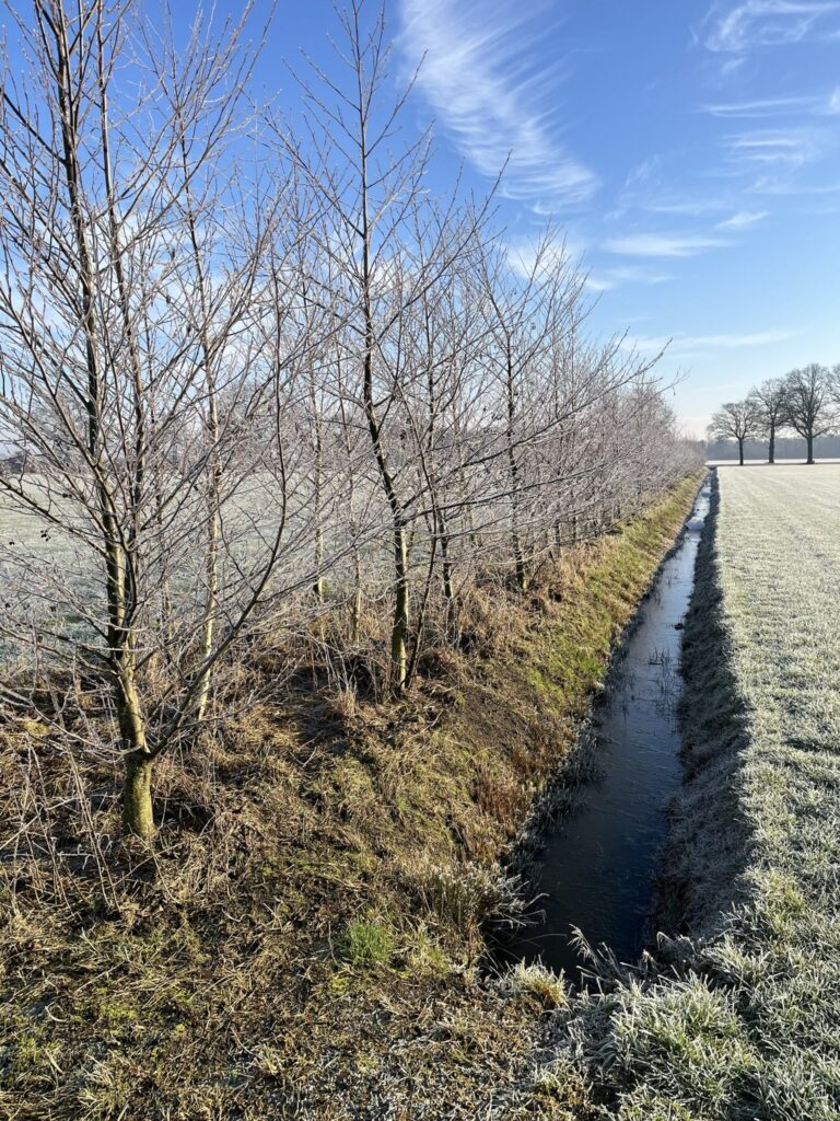 Bufferstroken langs watergangen: te mooi om te laten misslukken